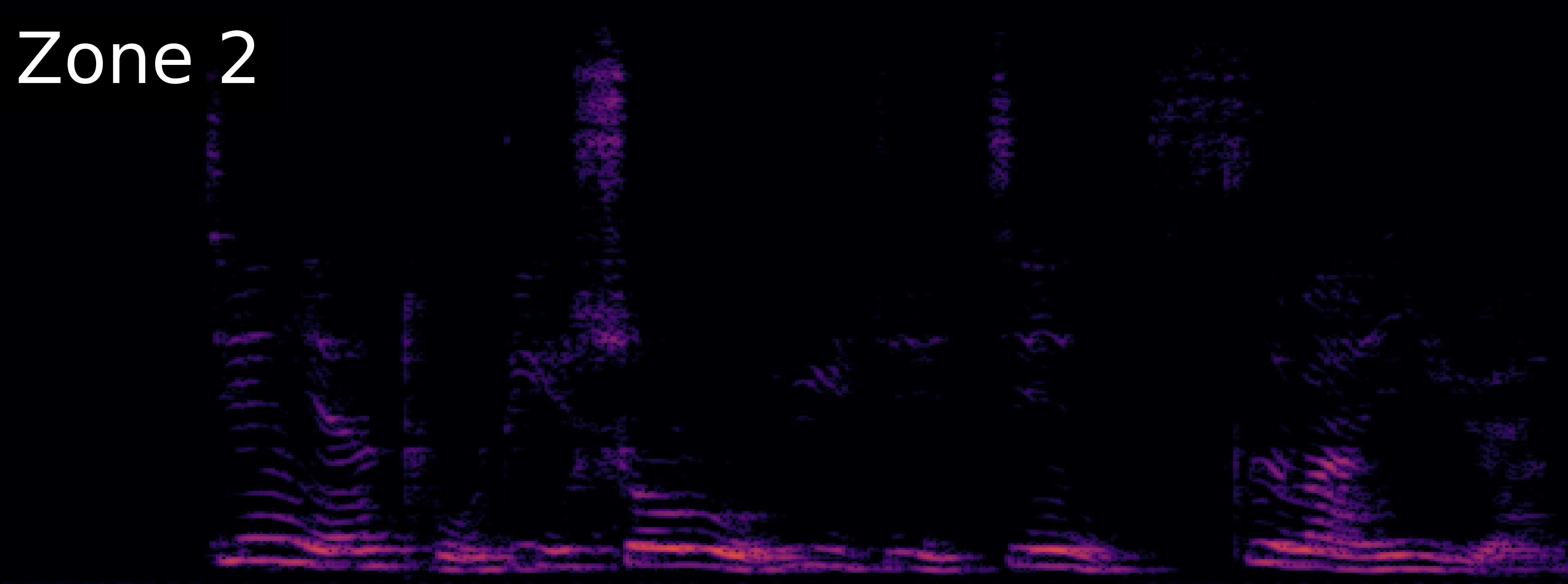 McNet Spectrogram