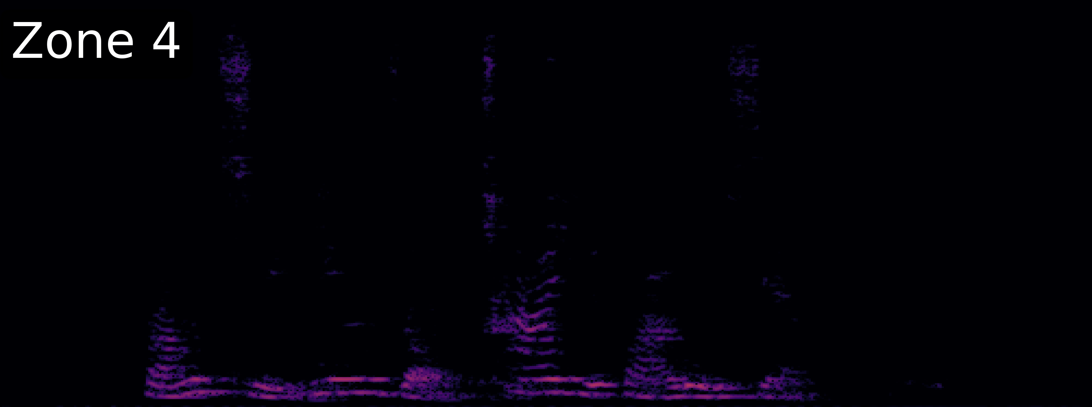 McNet Spectrogram