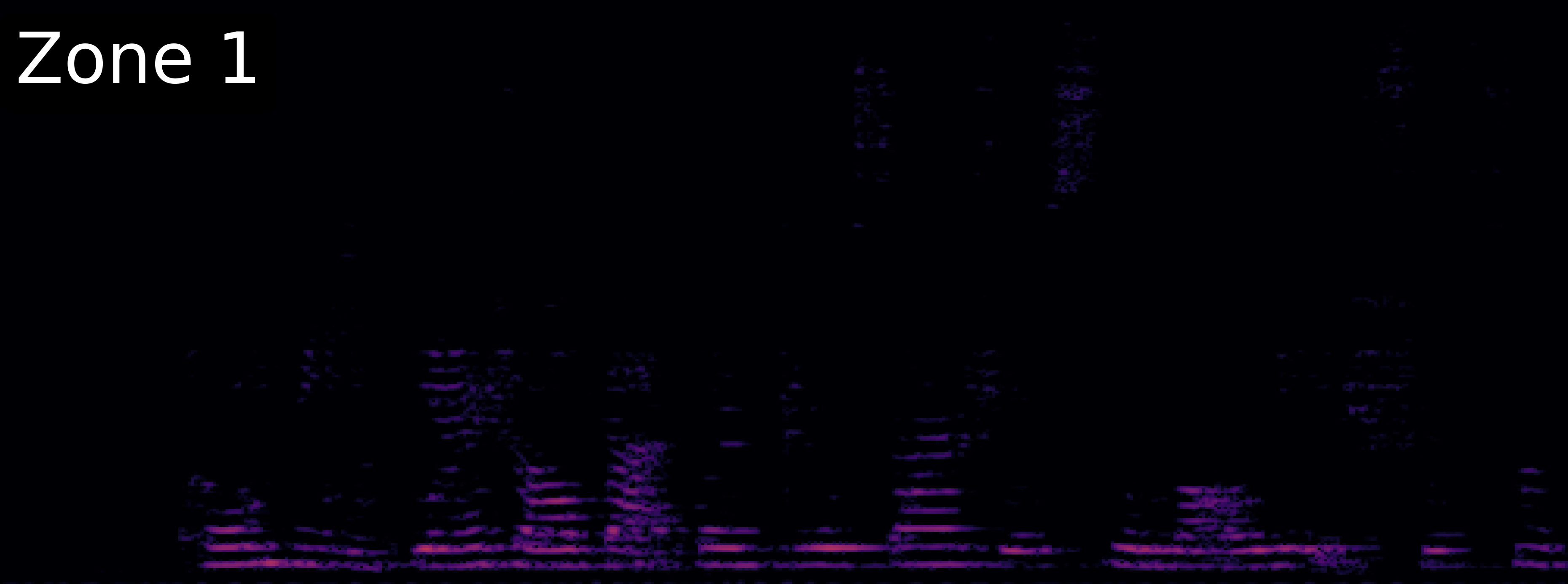 McNet Spectrogram