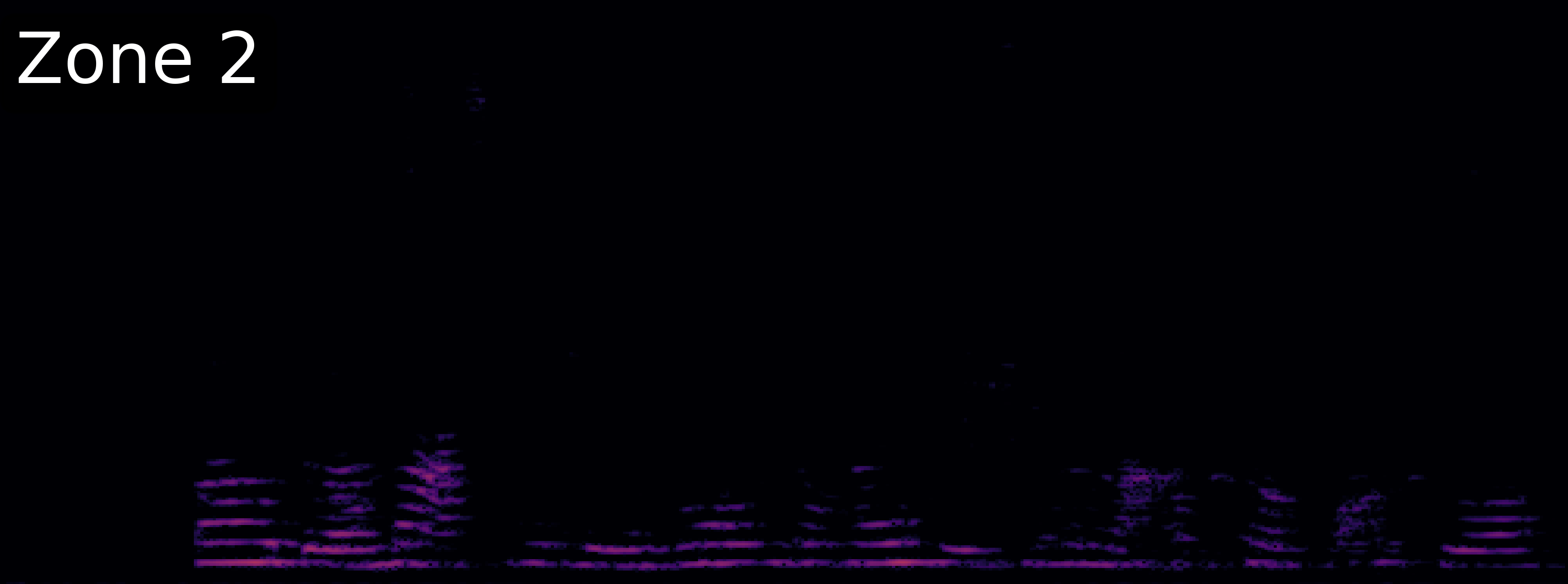McNet Spectrogram